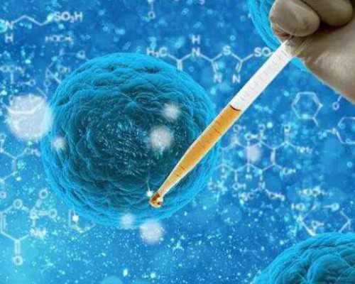 pg香港验血6周_香港dna性别判定男女,共享我在香港验血的实在阅历