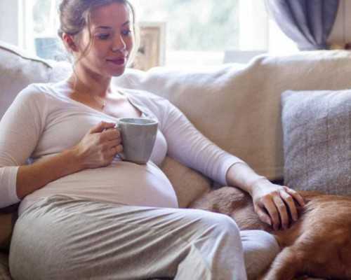 冷却水泵的更换步骤有哪些_翰墨传承——当代书画名家邀请展暨坤宝轩美术馆