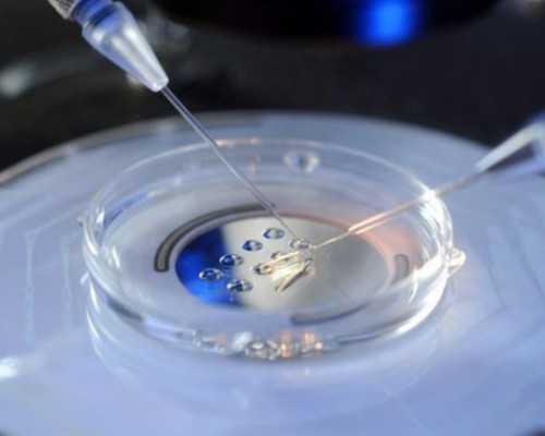 香港验血报告官网能查到吗_武汉香港胎儿性别鉴定机构,验血最权威的机构是哪