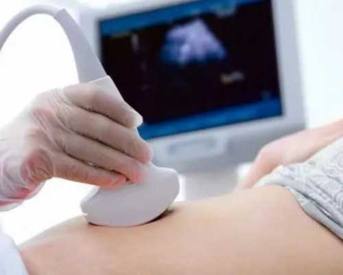 微量泵泵入的处方缩写_“一白高天下：齐白石抗战时期绘画作品展”  亮相重庆