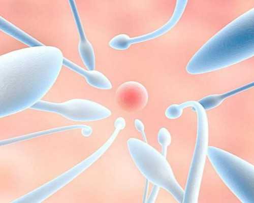 2026年香港pg验血准吗_网上那个香港验血查性别靠谱吗_会不会翻盘真的准确吗