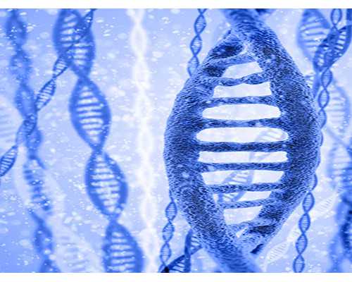 什么叫质子泵_上海双年展策展人:在你内心唤起一片问题的森林,展览就成功