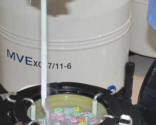 邮寄香港验血为什么都是女孩_去香港验血查胎儿性别去哪家_抽血验孕原理!