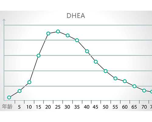 泵道公园_内棺漆盒中现精美“梳妆盒” 海昏侯金印或藏身其中