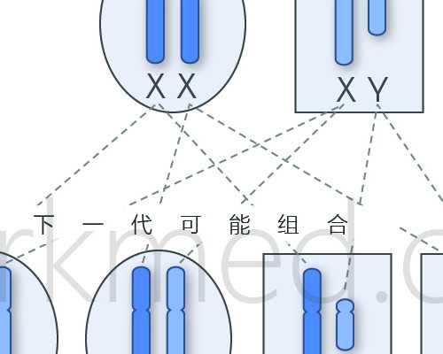 香港验血查性别被骗_双胞胎可以去香港验血查男女吗_验血是男孩竟然翻盘!