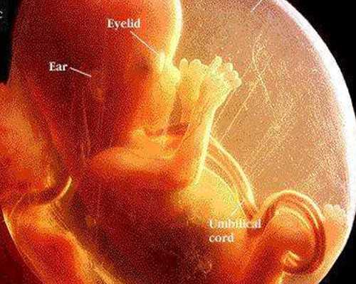 疫情期间香港验血准确吗_四个月香港验血查男女准吗,内地人能去香港预约验血