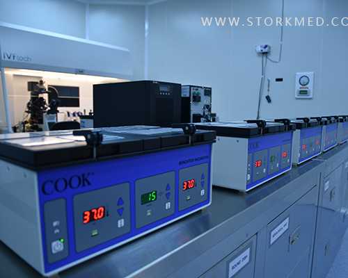 香港pg验血等结果_香港验血13个d却生女孩_验血查男女邮寄准不准？