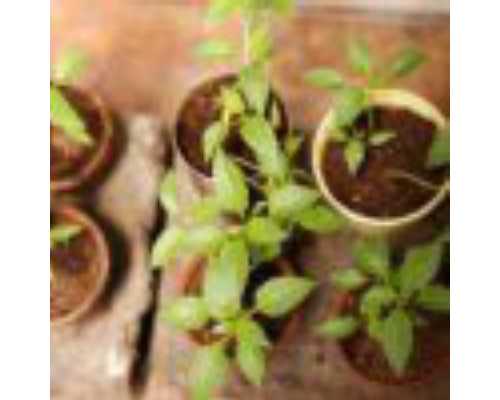 上海凯士比泵有限公司官网_2026年度十大创新博物馆及艺术机构等发布