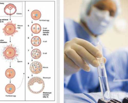 香港验血多久做胎心胎芽_香港验血查性别推荐香港卓信_验血查男女是不是真的