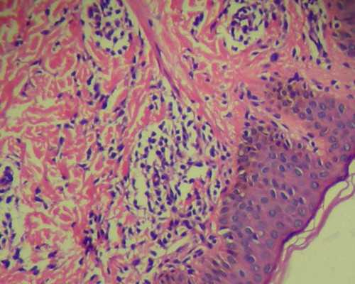 香港验血验多久能验出性别_详细的了解香港验血查男女的检测过程