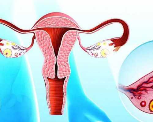 去香港验血出结果_中学生500字写事的作文初中600字写事作文