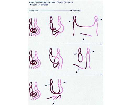 全自动自吸泵缺水保护_艺术家在博物馆里装了一个黄金马桶,所以……排泄就