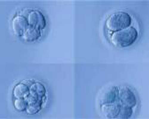 泵五笔怎么打出来_全身运动有哪些项目