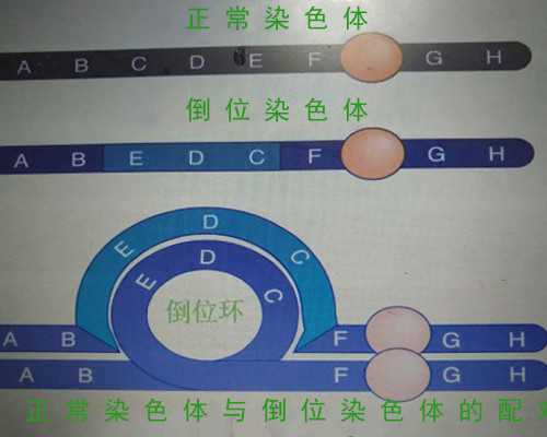 混泥土泵车最长多少米_金价大跌对金银币影响几何