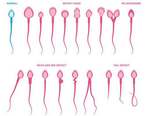 泵车司机安全技术交底_与古为徒出新意——陈巨锁的章草创作