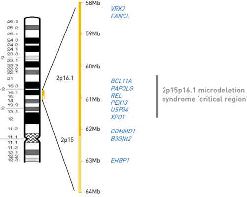 循环泵 英文_钟表收藏逐渐火热 增值年涨幅20%以上