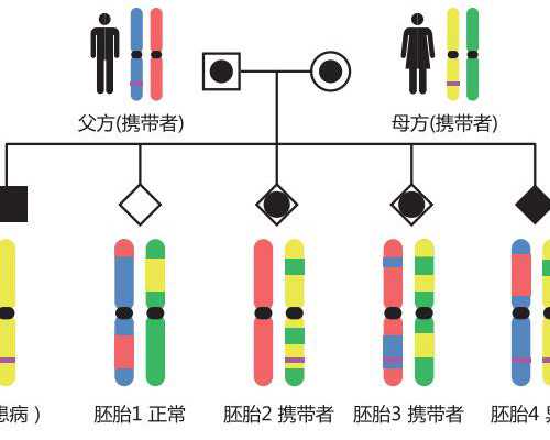 香港验血结果12d_关于香港验血准不准,是不是真的,真实经验分享给你