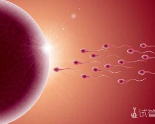 香港验血男女能邮寄吗_dnaxy23微信香港验血_原来你不知道的还有这么多