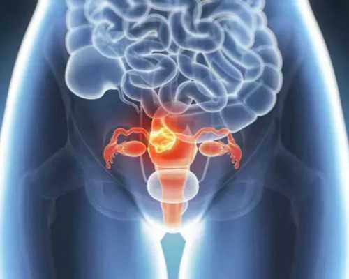 污泥回流泵_阿尔珀斯|博物馆:一种看的方式