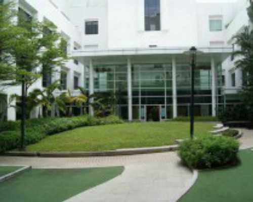 香港验血测性别最晚时间_举手投足之间  阅读答案举手投足之间是什么意思