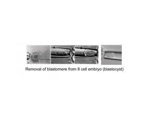 单吸单级立式离心泵_为什么男人想瘦都瘦不下来?