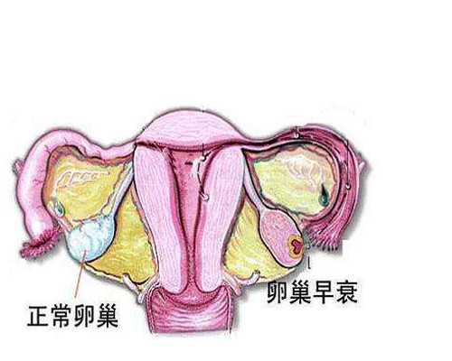 香港邮寄验血几天知道结果_香港抽血鉴定性别官网,验血查男女抽血验孕原理