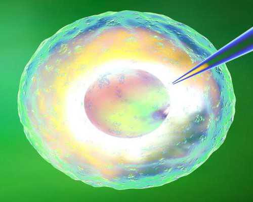 香港集思灵验血官网_香港验血鉴定mk机构_没想到这么火最全攻略全在这!