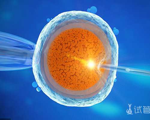 香港胎儿验血性别鉴定邮寄_香港查性别要空腹吗_总结下香港鉴定性别攻略!