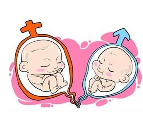 氮泵怎么读bang_早安～懒人鸡蛋饼