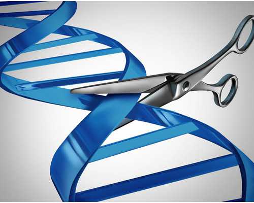 微量泵的作用与功效_咫尺丹青 扇里乾坤