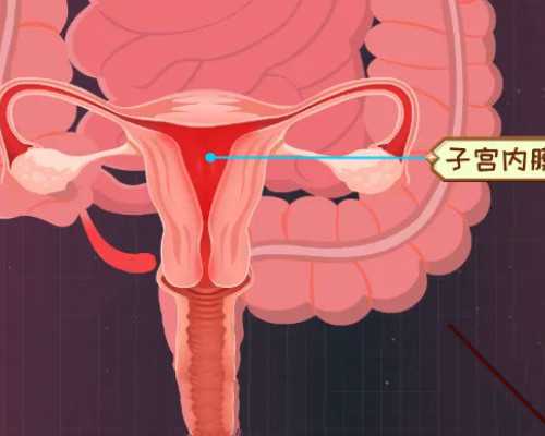 蠕动泵英语_肺癌手术费用多少钱