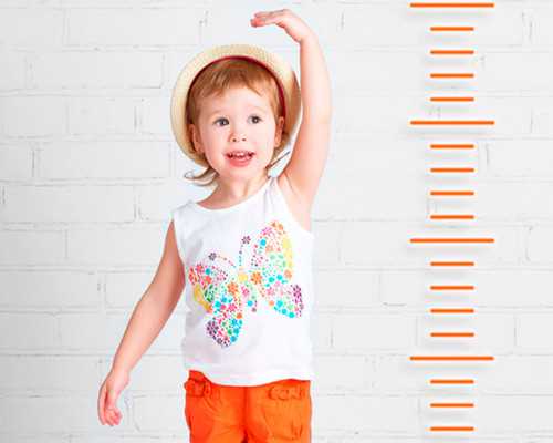 液体输送泵_台北故宫博物院开展受赠书画