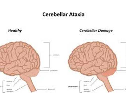 邮寄血液去香港验血准不准_香港验血测违法_查男女哪家准确率最好!