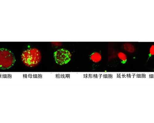 热水循环泵设置说明书_翡翠最近行情：缅甸降关税 市场依然很冷淡