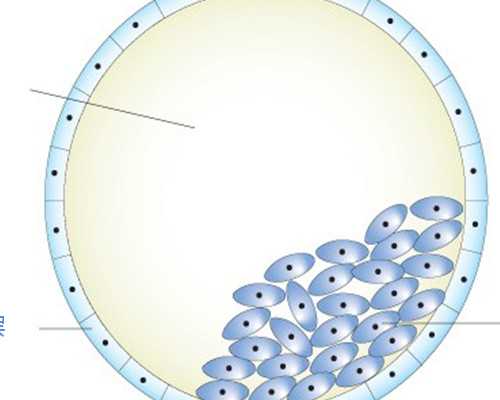 59天香港验血准 吗_香港验血几次都是女儿_胎儿鉴定详细流程是怎样的