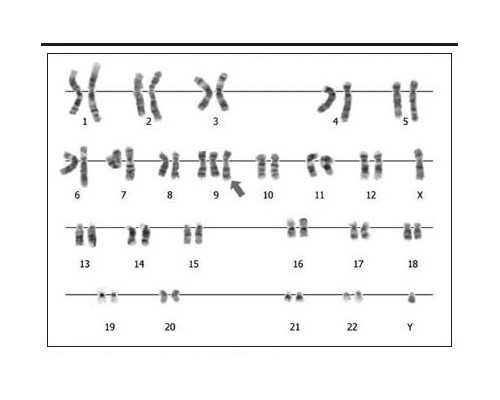 香港验血查男女怎么看结果_香港寄血查男女准确性,查性别需要什么条件