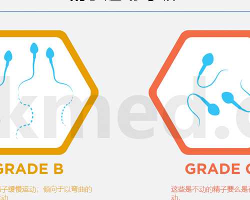 七周怀孕到香港验血衫_香港怀孕验血查性别测男女成果会翻盘吗