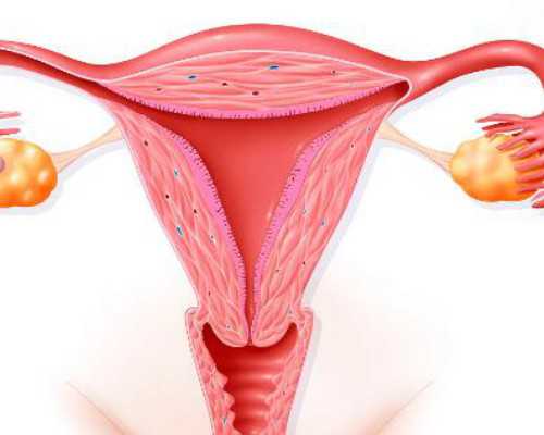 香港HKdna验血结果单_香港验血价格最低是多少，宝妈帮你答疑解惑！