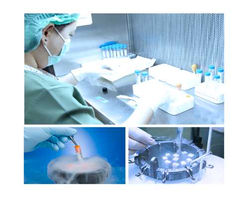 香港怀孕可以验血测出男女吗_2026年香港验血达雅高报告准不准_刚测过的人来告