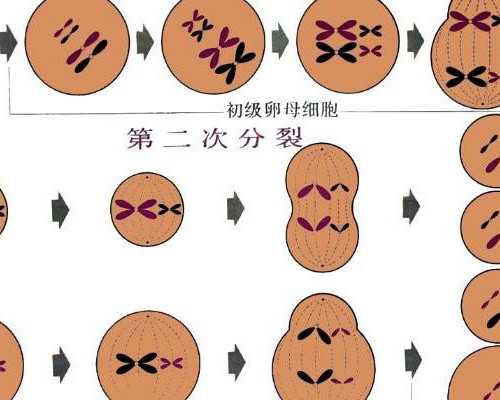 混凝士泵车_提醒：购买红木家具要擦亮眼睛