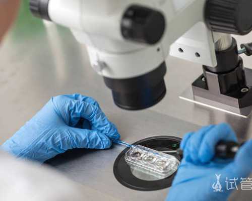 香港验血男女测试报告几天有结果_大家去香港哪儿抽血查性别_真的有科学依据