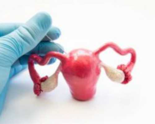 怀孕5周可以香港验血吗_寄到香港验血准不准_验血查性别哪家比较好