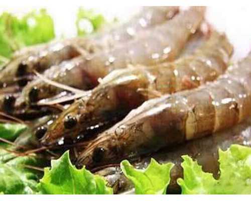 两次香港验血结果不同_《他变了》的作文半命题作文-XX变了