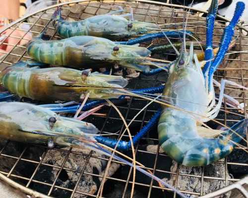 香港验血周六出结果吗_香港验血孕妇男女准吗_查性别真的准确吗!