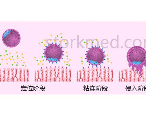 叶轮泵工作原理图动画_艺术品收藏玩的就是机缘