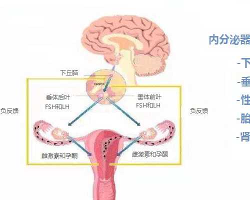 往复泵型号_清末陈衍庶楷书对联