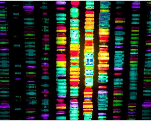 水泵的英文怎么写_乏味的影像三分钟都长，动人的影像两小时仍短