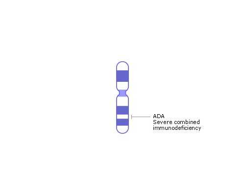 香港中介验血有Y染色体_香港验血攻略rc机构,都有哪些需要注意的
