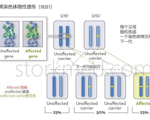泵车司机招聘网_清代后宫华服的礼、仪、制