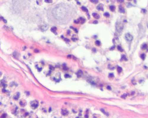 水泵型号代表的意义及缩写_她为妹妹伍尔夫画出了“一个人的房间”